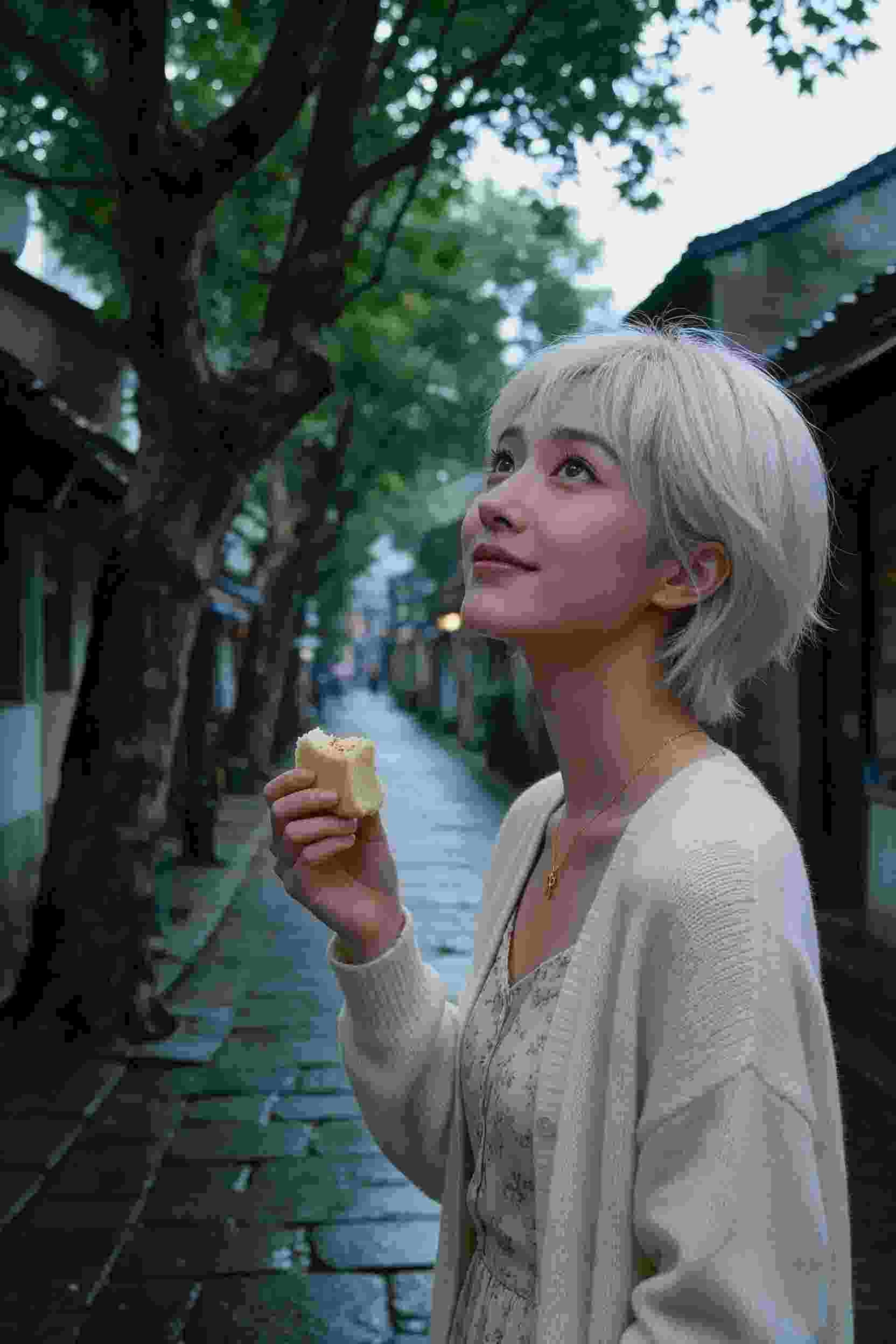 芍药之心